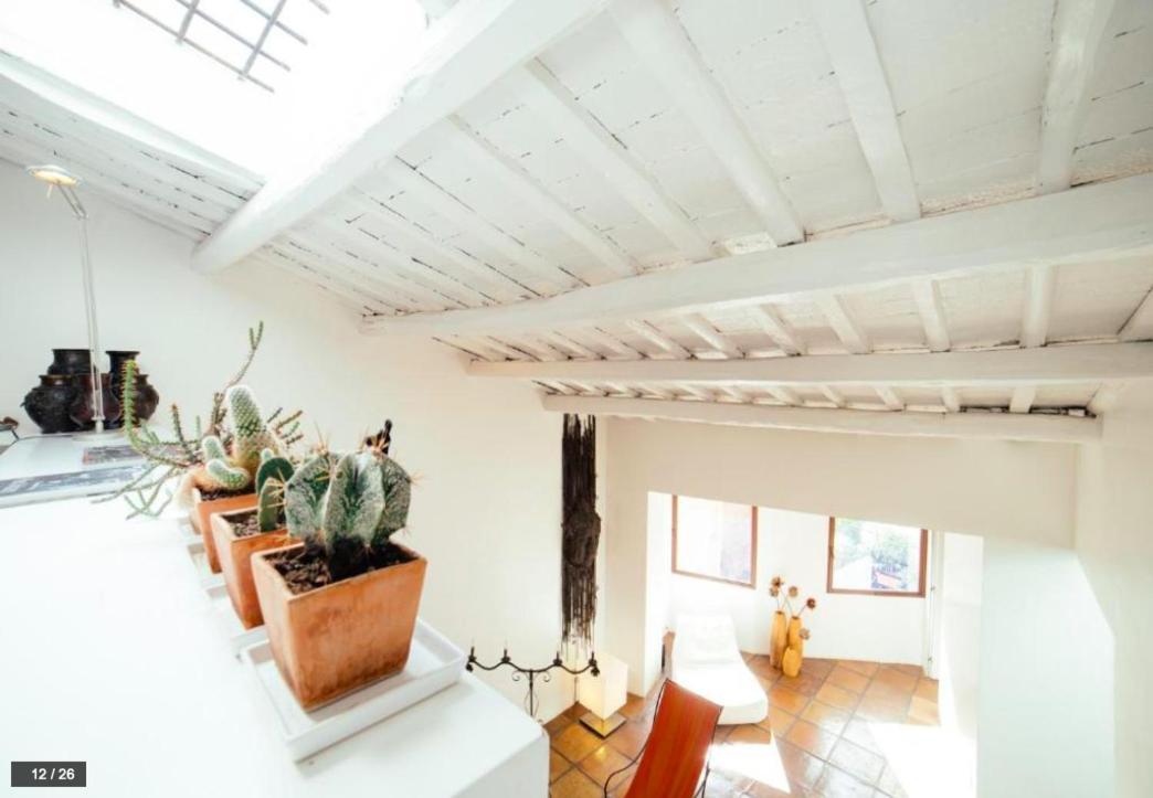 Luxury Art Apartment In Trastevere With Terrace โรม ภายนอก รูปภาพ